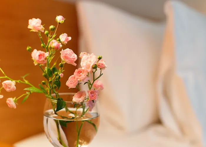 U Tiny Boutique Suvarnabhumi - Sha Hotel Bangkok